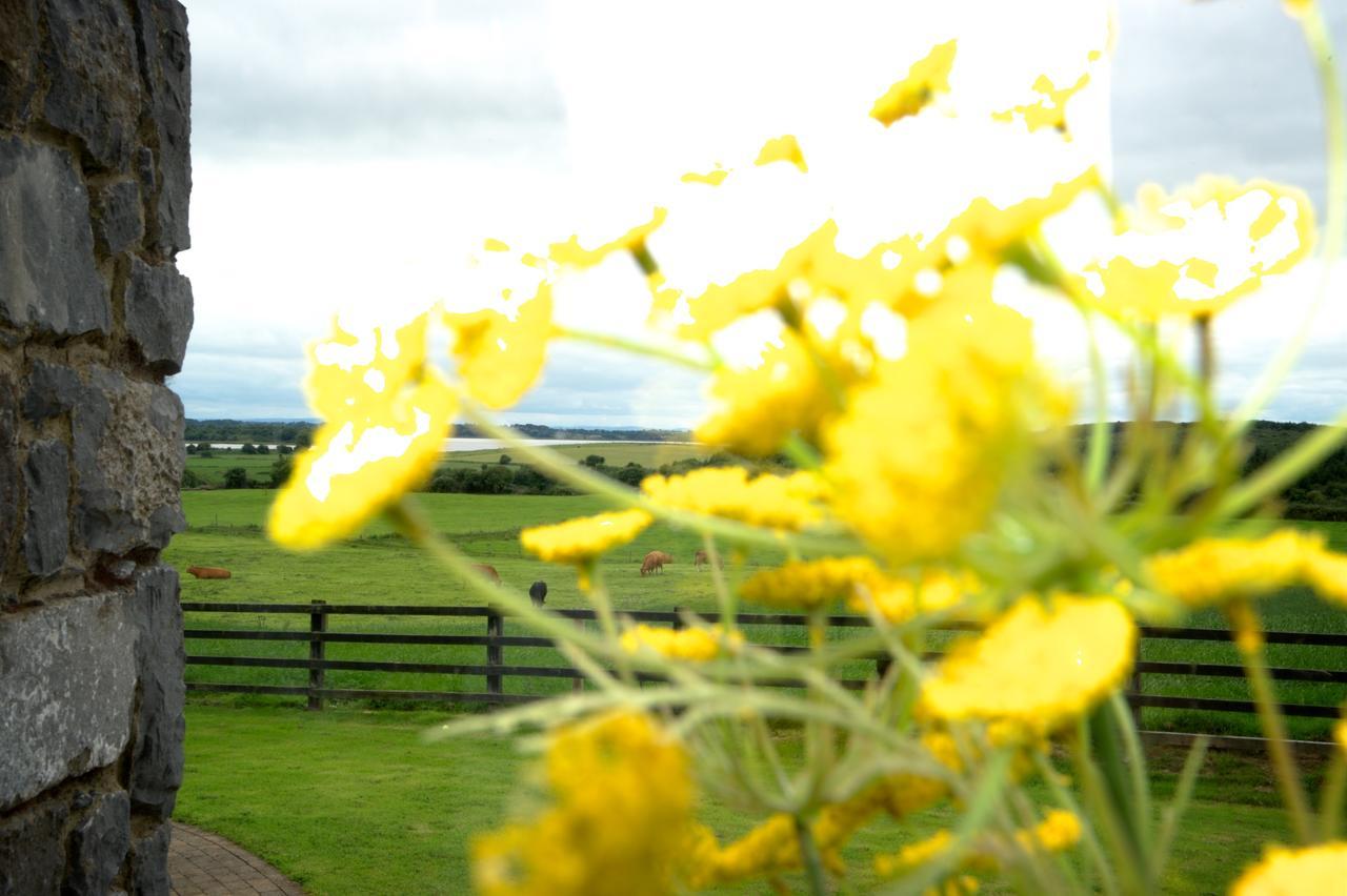 Bunratty Meadows Bed & Breakfast Bed and Breakfast Exterior foto