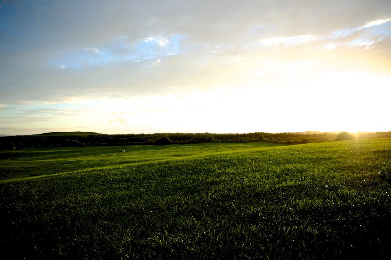 Bunratty Meadows Bed & Breakfast Bed and Breakfast Exterior foto