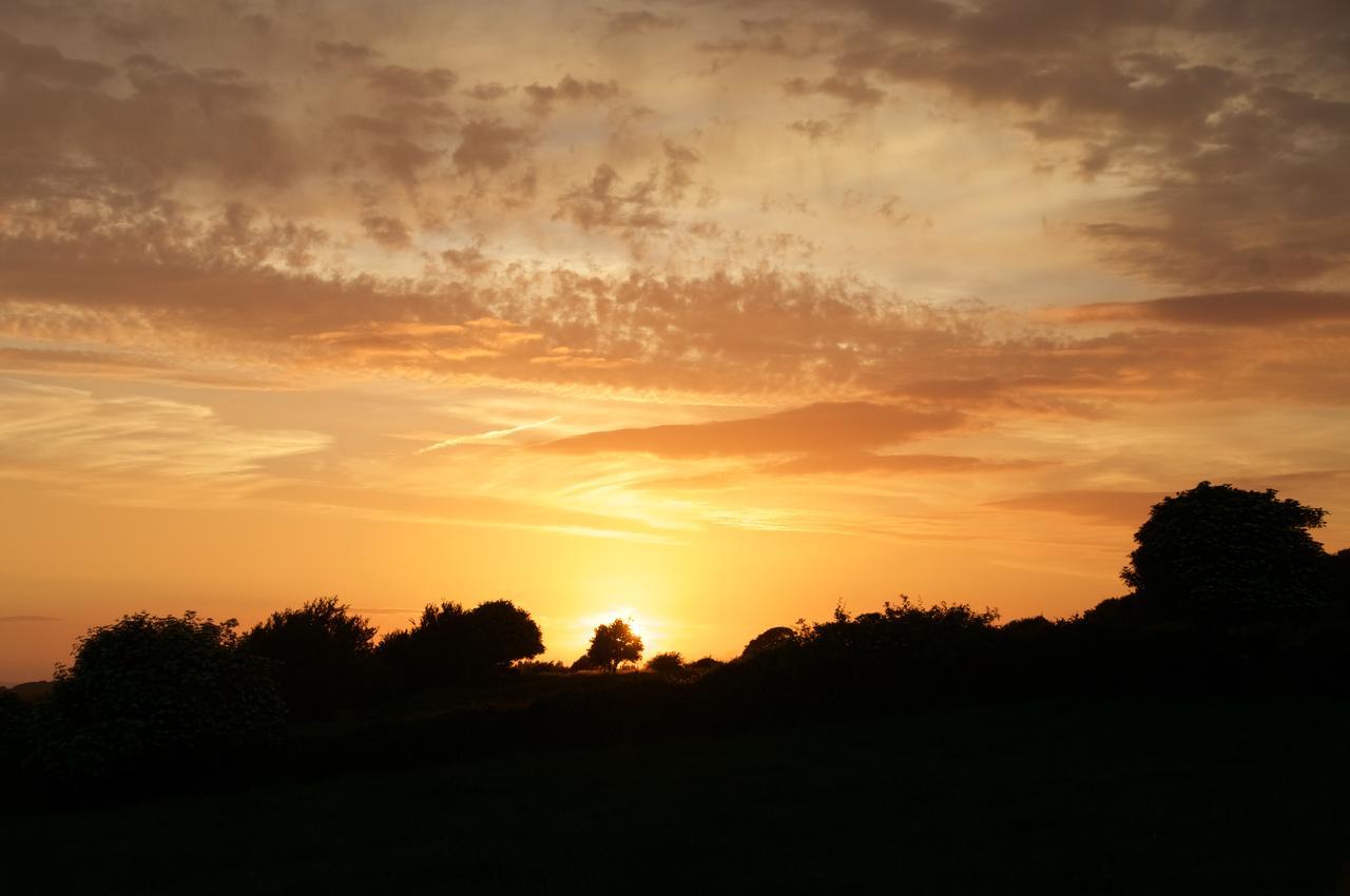 Bunratty Meadows Bed & Breakfast Bed and Breakfast Exterior foto