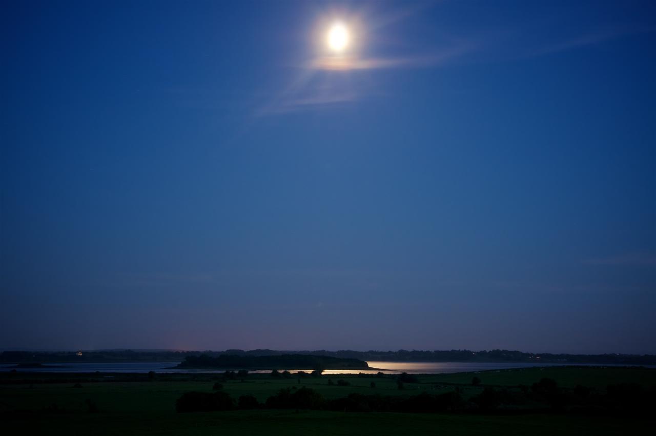 Bunratty Meadows Bed & Breakfast Bed and Breakfast Exterior foto